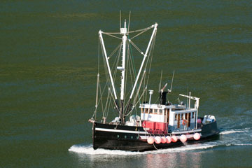 fishing boat in the Gulf of Alaska