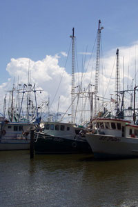 shrimp boats in Biloxi before Hurricane Katrina