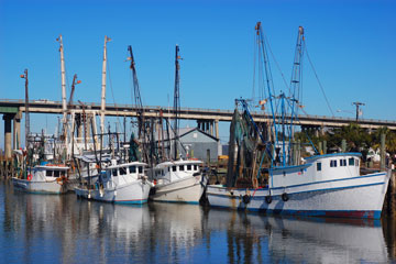 shrimp boats in a Georgia seaport