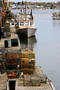 lobster boats - Portland, Maine