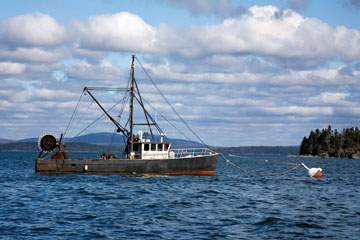 Bar Harbor lobster boat