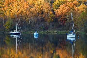 sailboats anchored in a Missouri lake on an Autumn afternoon