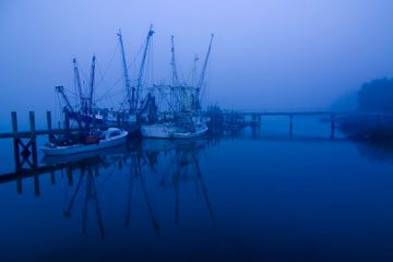 shrimp boats on a misty morning in South Carolina