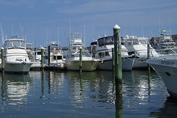 marina at Virginia Beach