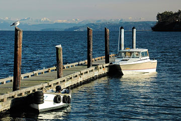 boats at a Whidbey Island dock