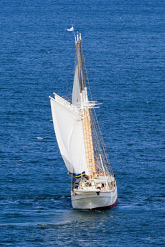 swedish sailboat